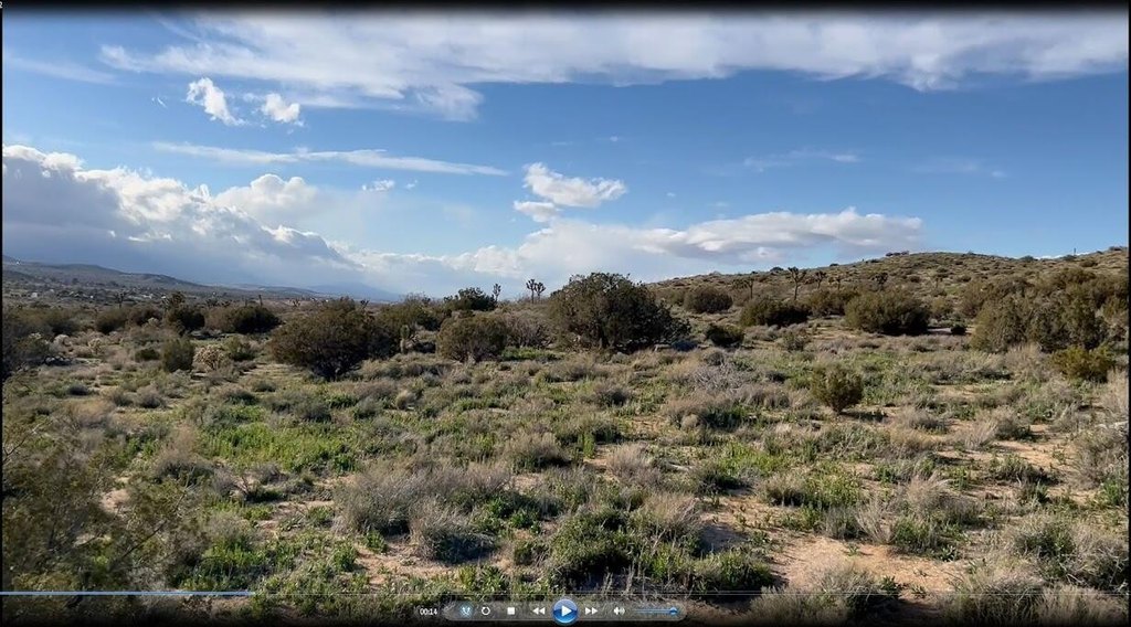 Picture 19