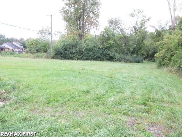 Residential Land in Clinton Township