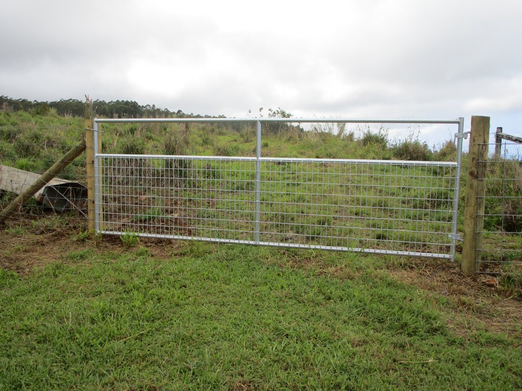 Picture 19