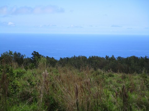 Laupahoehoe Land with Ocean Views