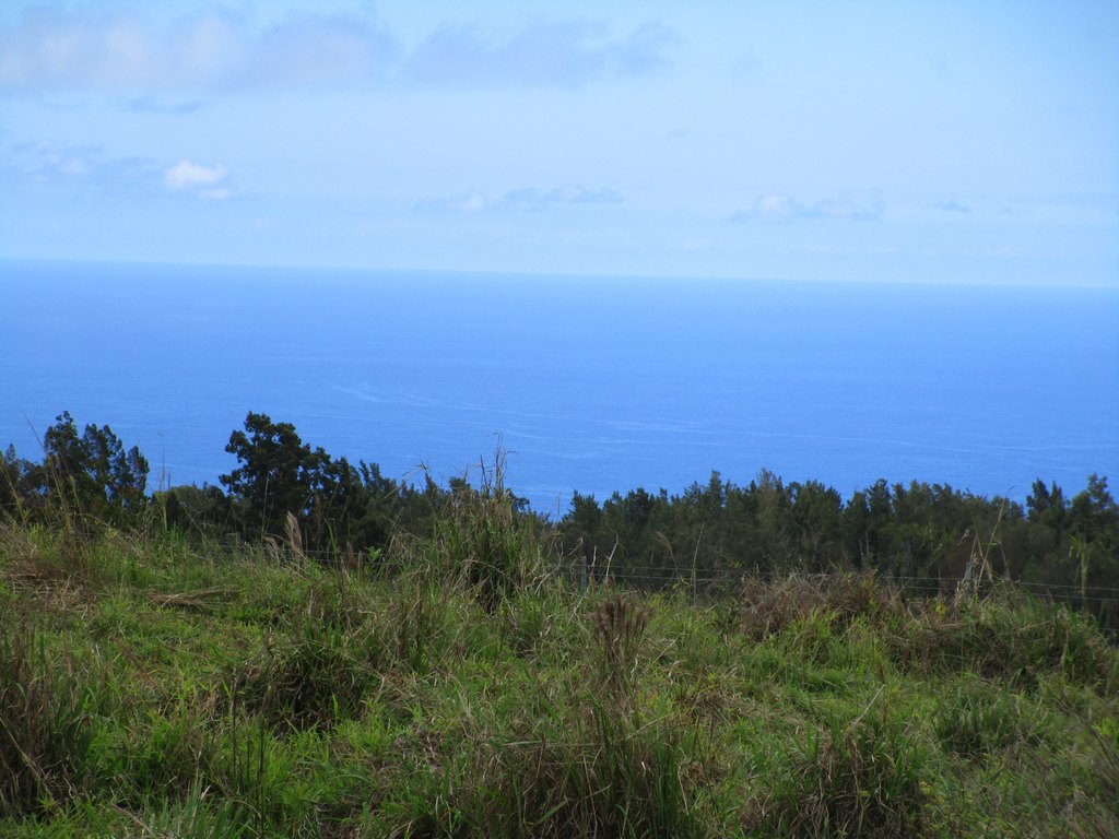 Picture 20