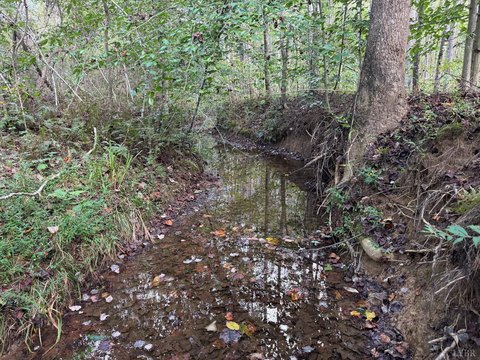 Shipman, VA Wooded Land