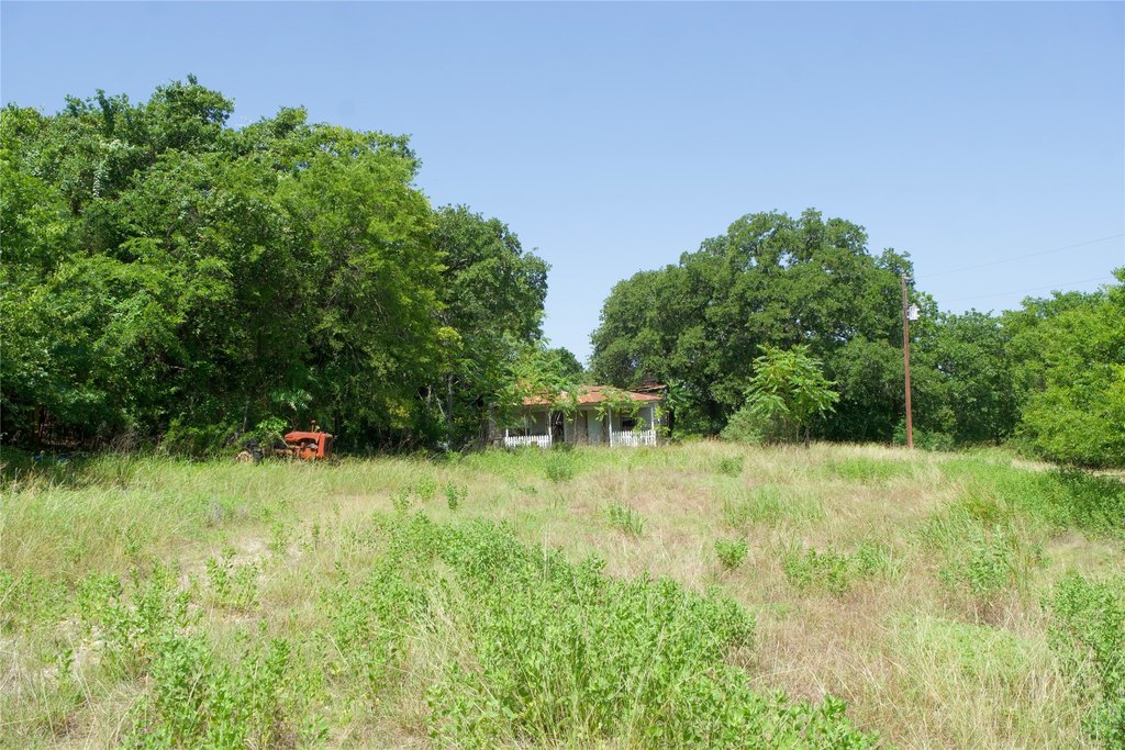 Picture 5