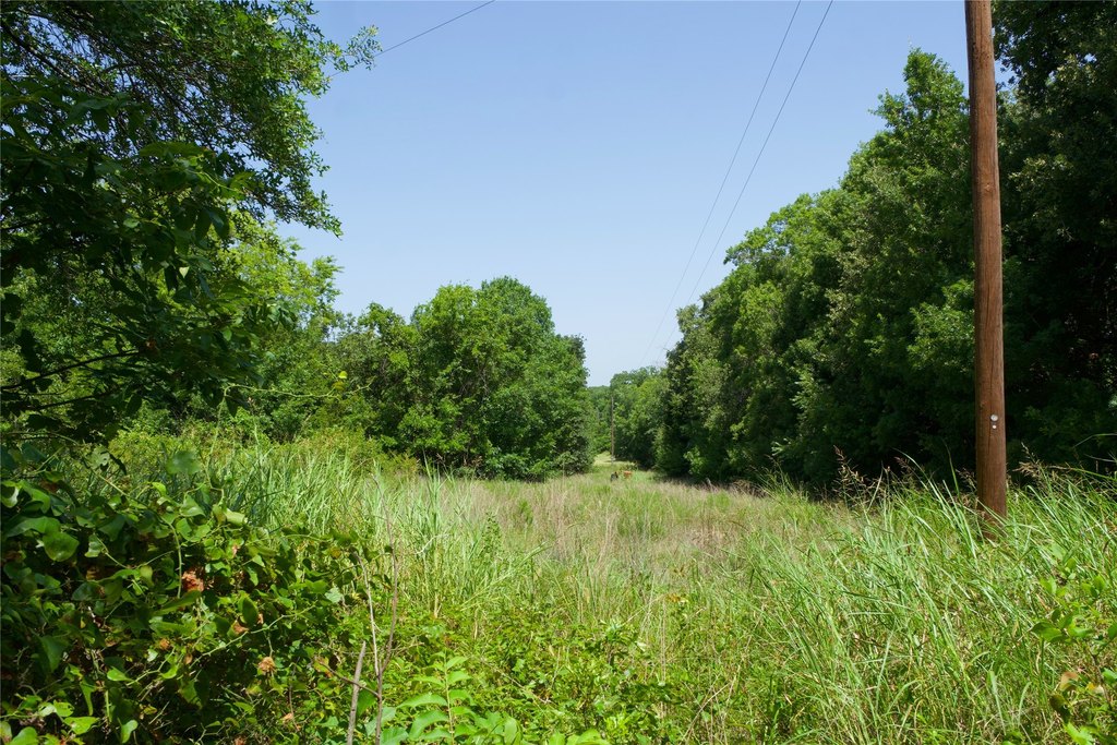 Picture 4