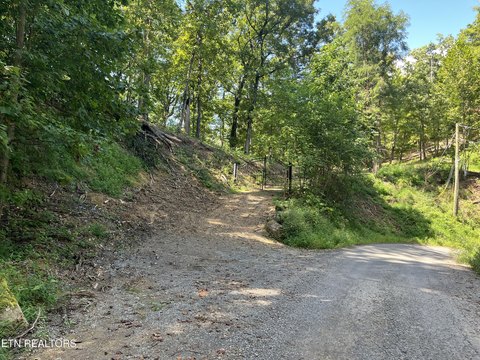 Lots & Acreage, Sevierville, TN