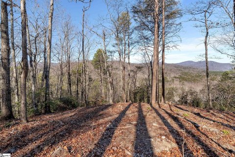 Lots/Land, Marietta, SC