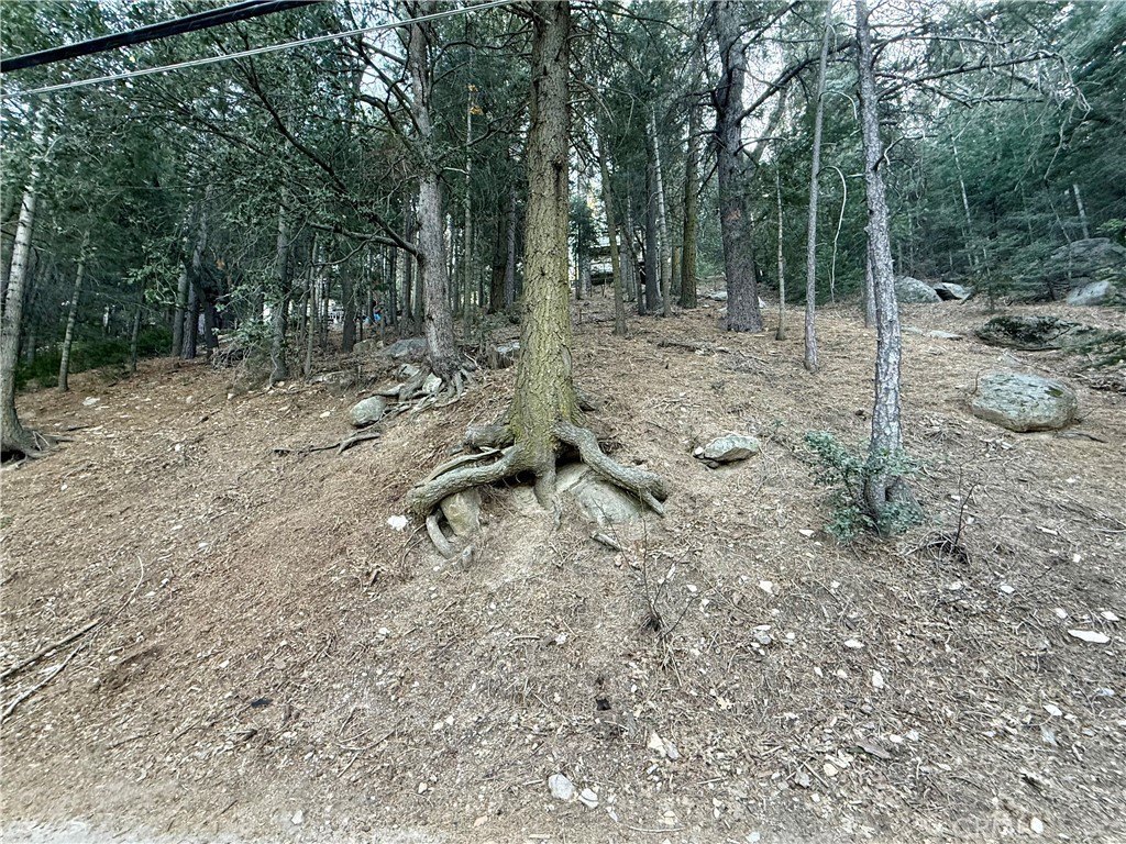 Crestline Mountain Escape Land