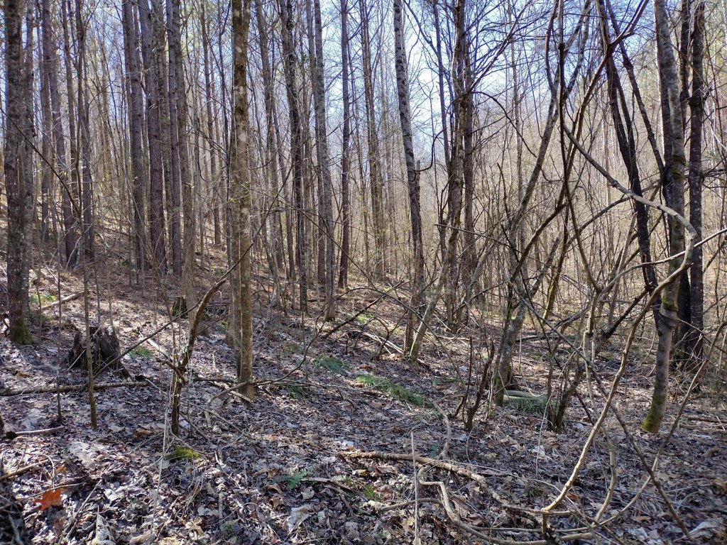 Picture 12