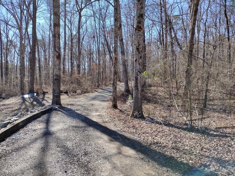 Private Wooded Acreage with Creek