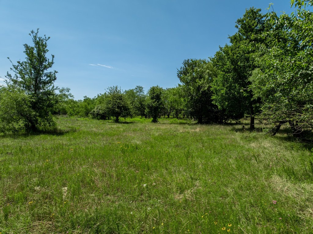 Picture 24