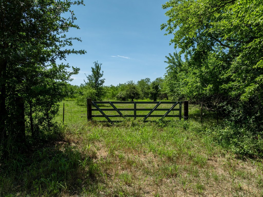 Picture 23
