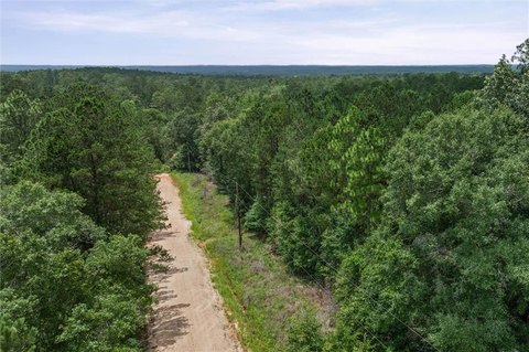 LAND - Wilmer, AL