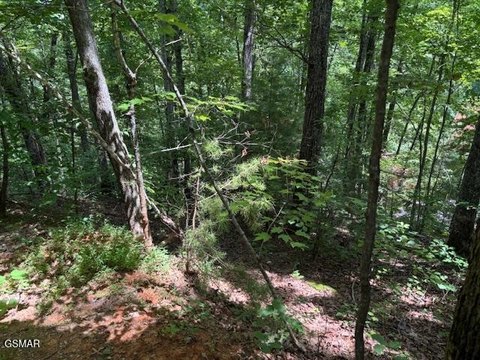 Sevierville, TN Land For Sale