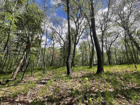 Wooded Waterfront Land with Deeded Access