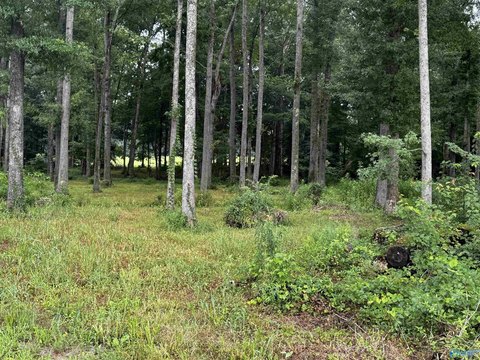LAND - New Market, AL