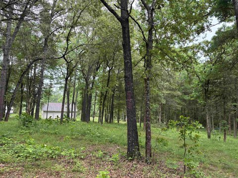 LAND - Atkins, AR