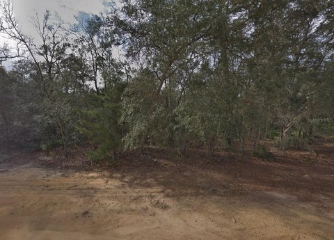Residential Vacant Lot