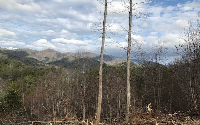 Picture 7