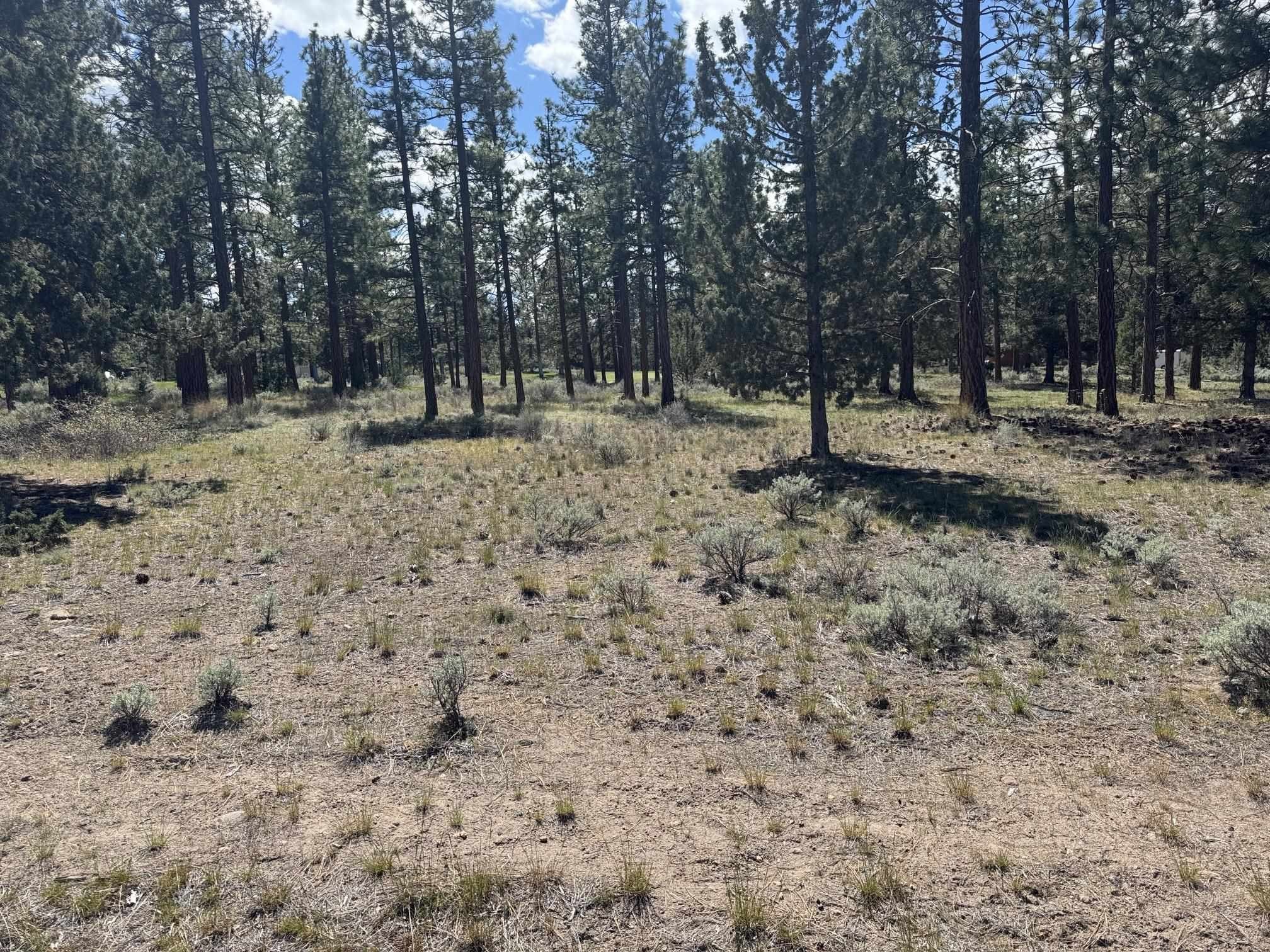 Golf Course Lot in Weed