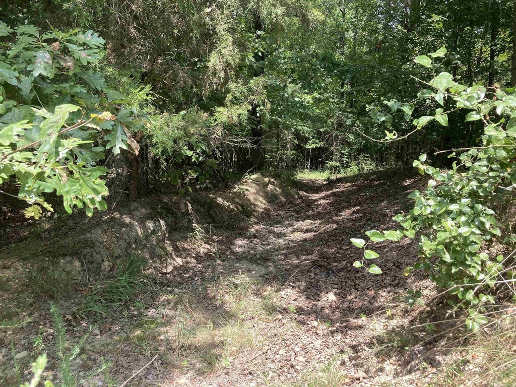 Picture 18