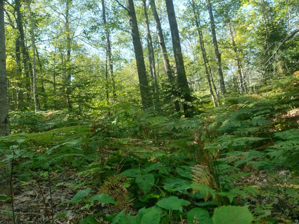 Picture 6