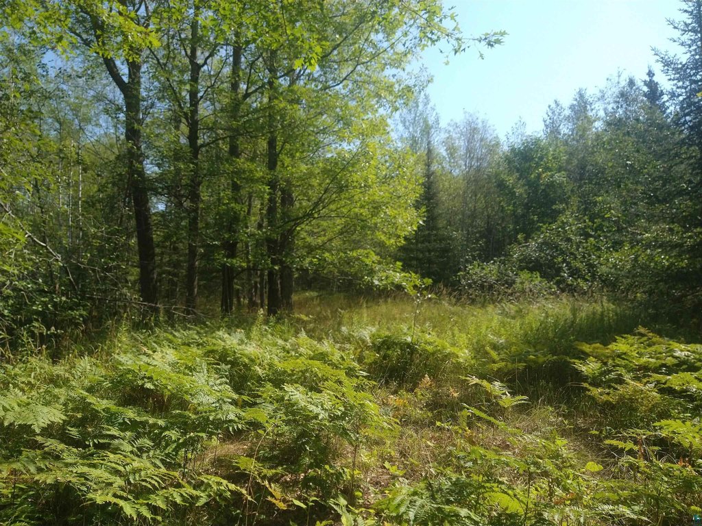 Picture 3