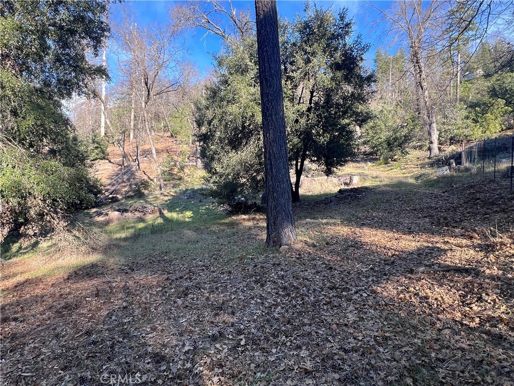 Picture 14