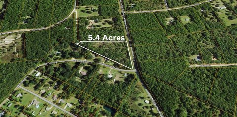Wooded Land in Northwood Subdivision