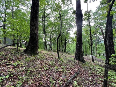 Mountain-View Residential Lot