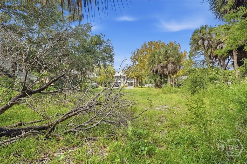 Picture 20