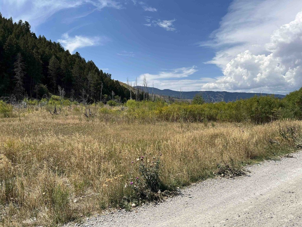 Picture 36