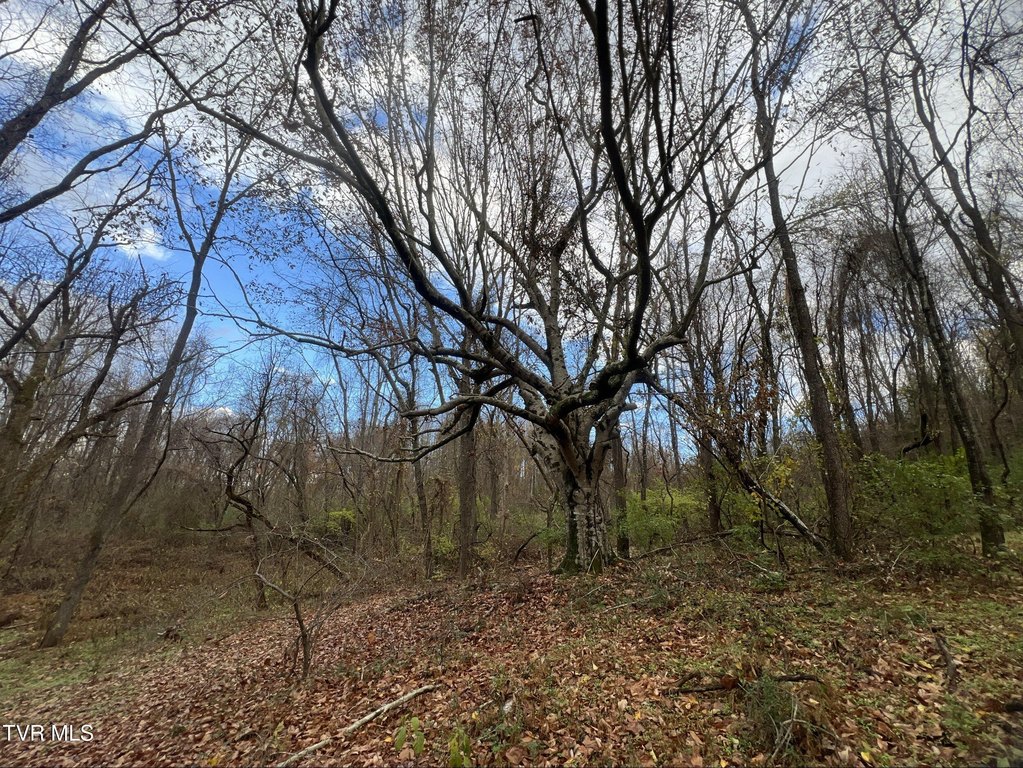 Picture 25