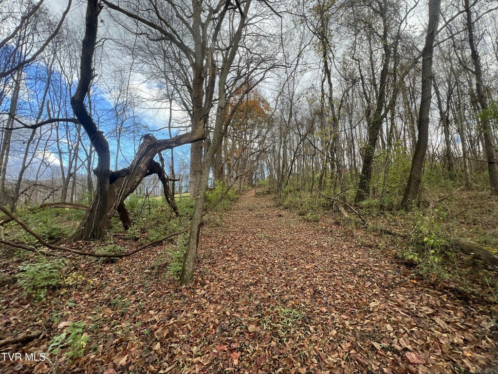 Picture 23