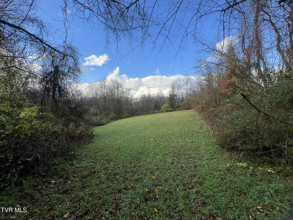 Picture 29