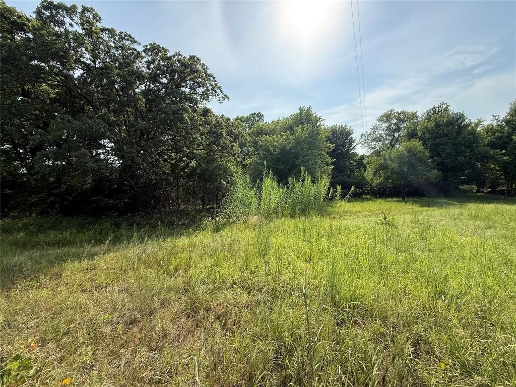 Picture 6