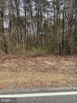 Land For Sale in Cedarville