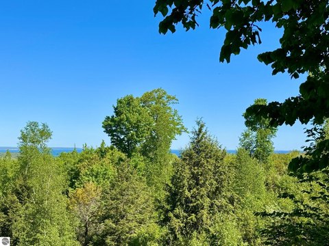 LAND - Maple City, MI