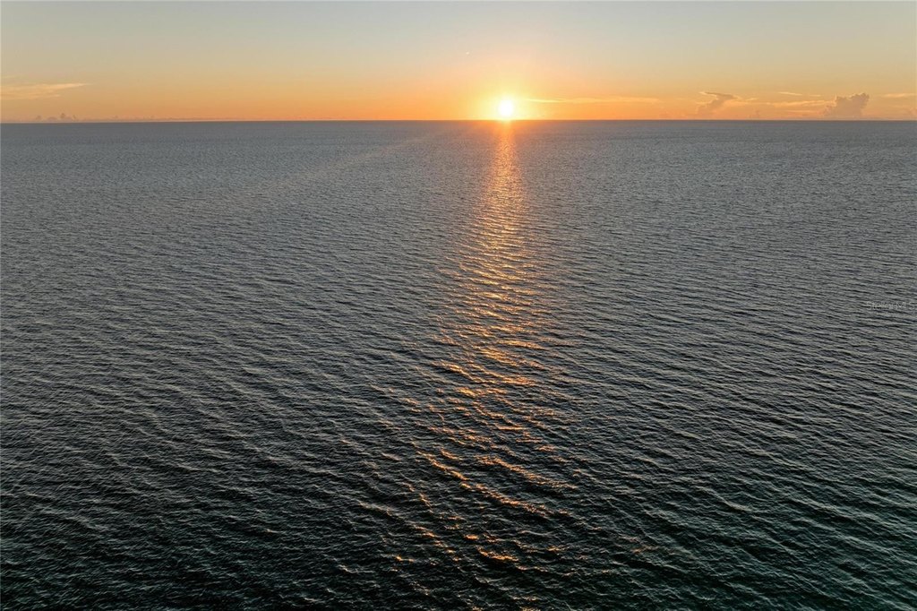 Picture 81