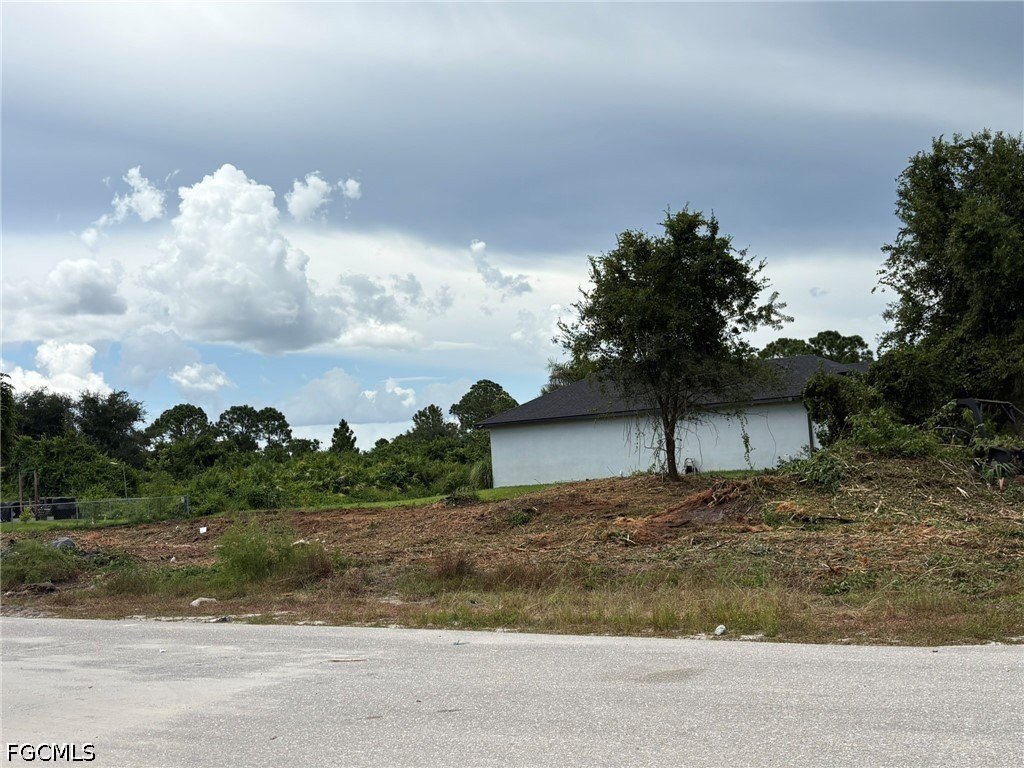 Picture 4