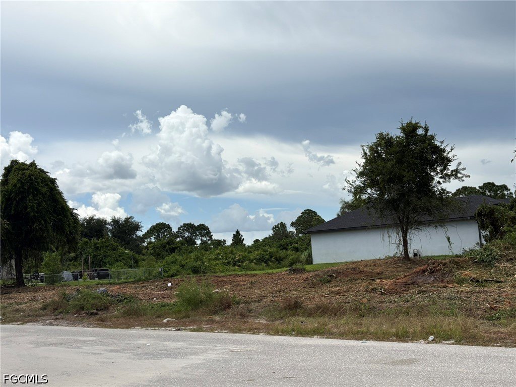 Picture 5