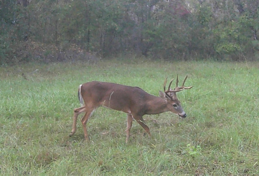 Picture 4