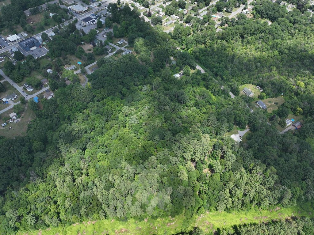 Picture 10