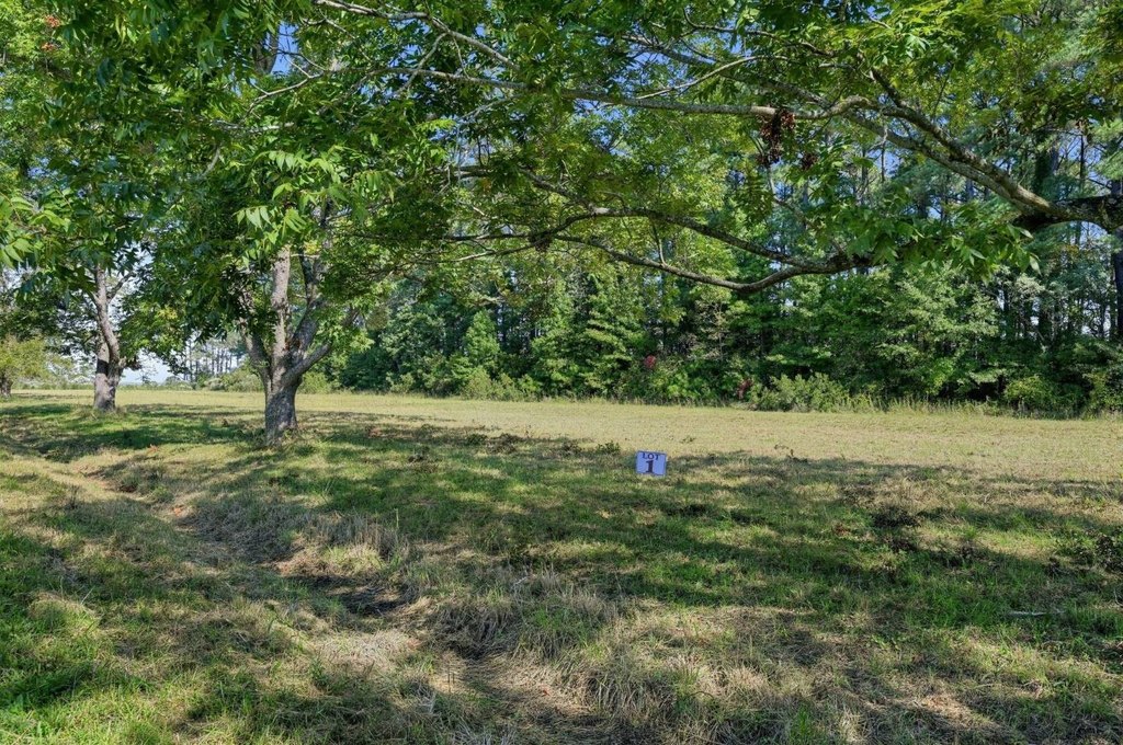 Picture 20