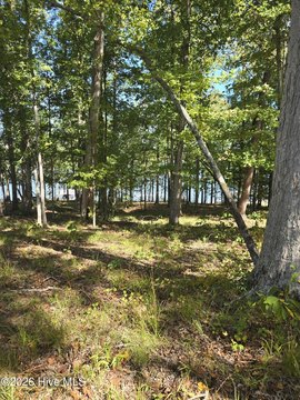 Land, Lincolnton, GA