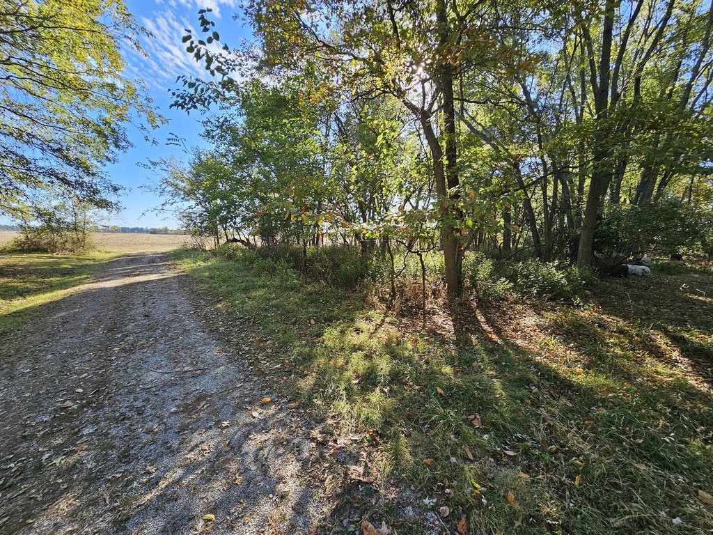 Picture 5