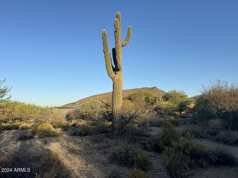 Desert Mountain Homesite with Views