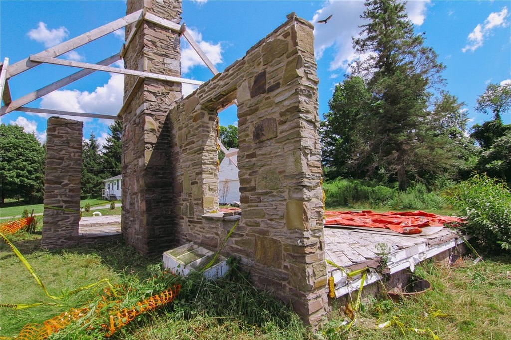 Picture 8