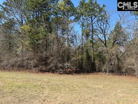 LAND - Leesville, SC