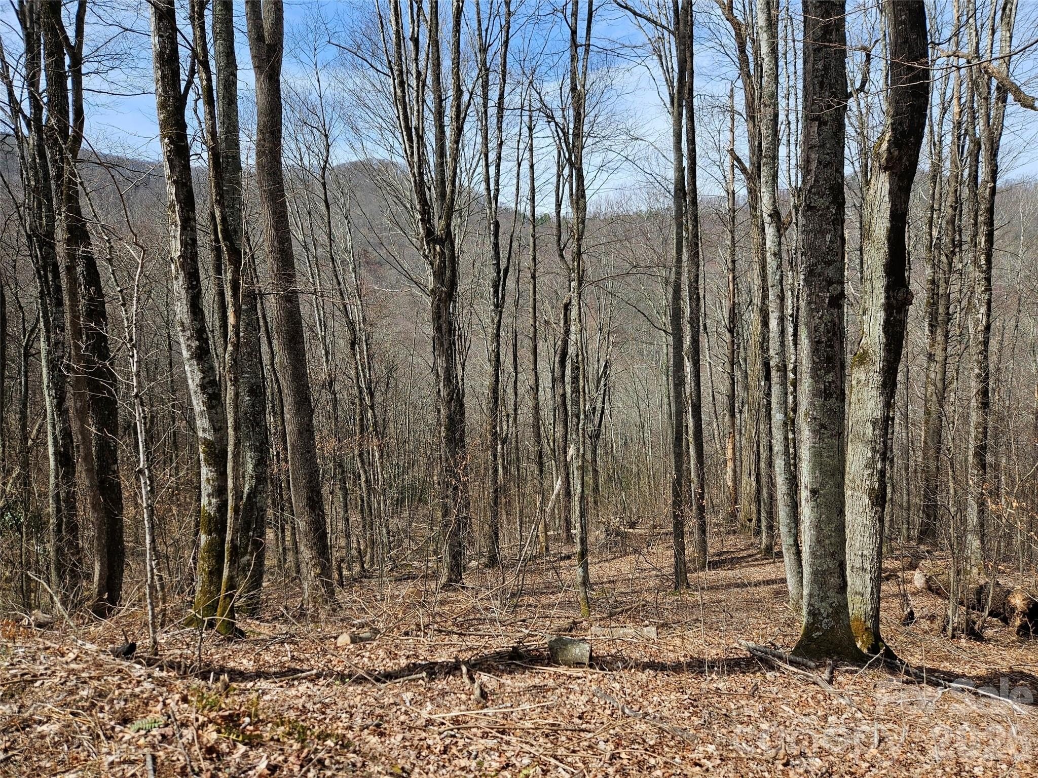 Waynesville Land Near National Park