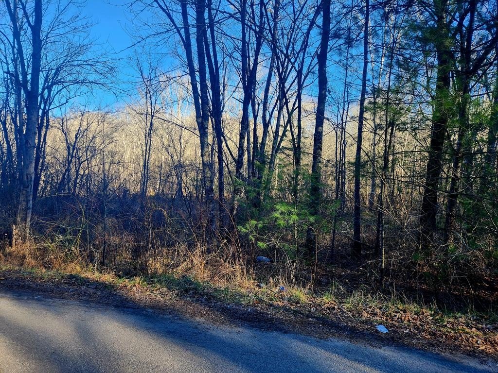 Picture 4